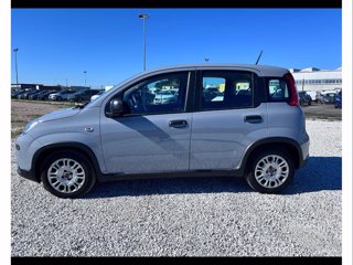 FIAT Panda 1.0 firefly hybrid city life s&s 70cv