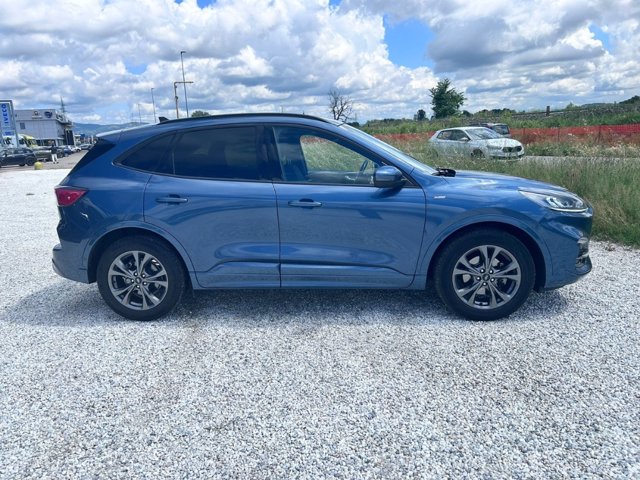 FORD Kuga 1.5 ecoblue st-line 2wd 120cv auto