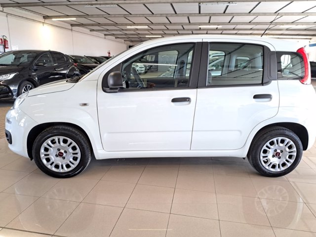 FIAT Panda 1.2 easy s&s 69cv my19