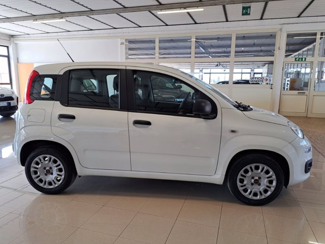 FIAT Panda 1.2 easy s&s 69cv my19