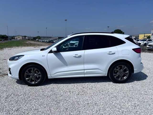FORD Kuga 1.5 ecoblue st-line x 2wd 120cv