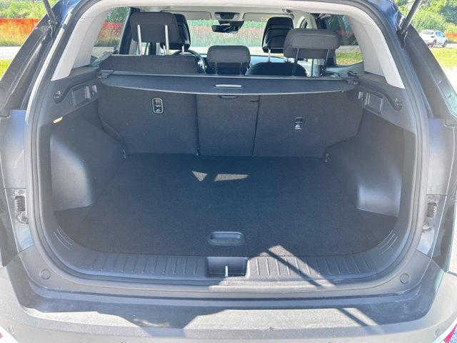 KIA Sportage 1.6 crdi mhev style mt