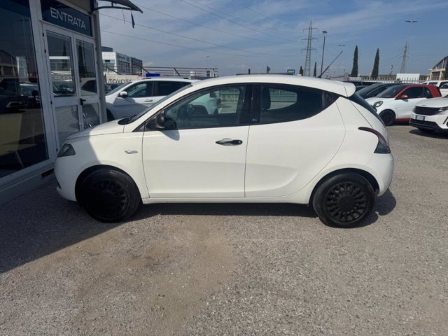 LANCIA Ypsilon 1.2 69 CV 5 porte Elefantino
