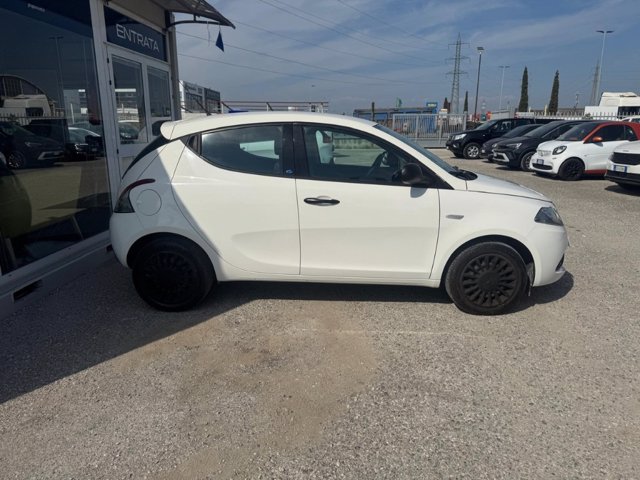 LANCIA Ypsilon 1.2 69 CV 5 porte Elefantino