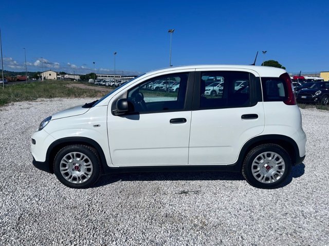 FIAT Panda 1.0 firefly hybrid s&s 70cv