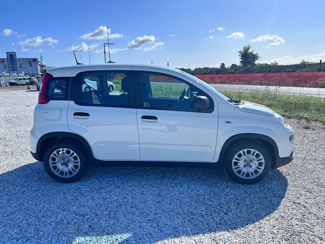 FIAT Panda 1.0 firefly hybrid s&s 70cv