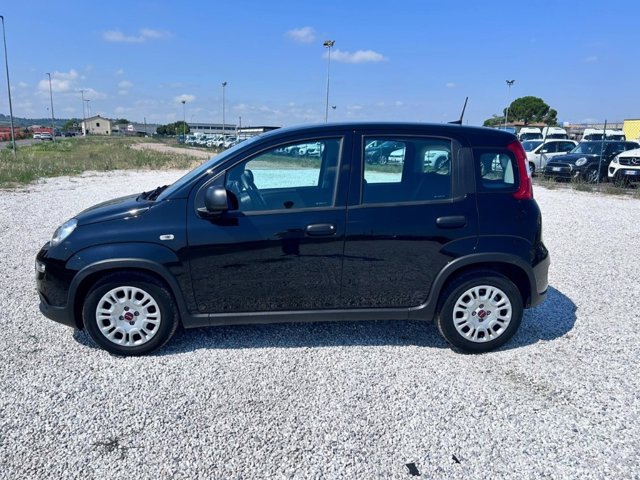 FIAT Panda 1.0 firefly hybrid s&s 70cv
