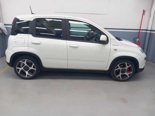 FIAT Panda 1.0 firefly hybrid sport s&s 70cv 5p.ti