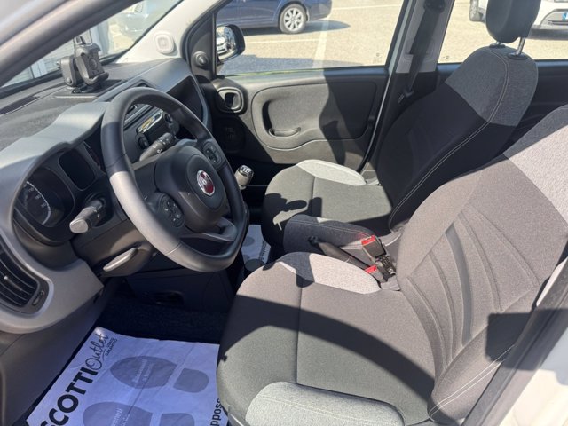 FIAT Panda 1.0 firefly hybrid city life s&s 70cv 5p.ti