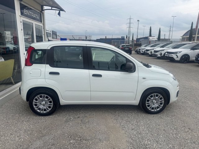 FIAT Panda 1.0 firefly hybrid s&s 70cv 5p.ti