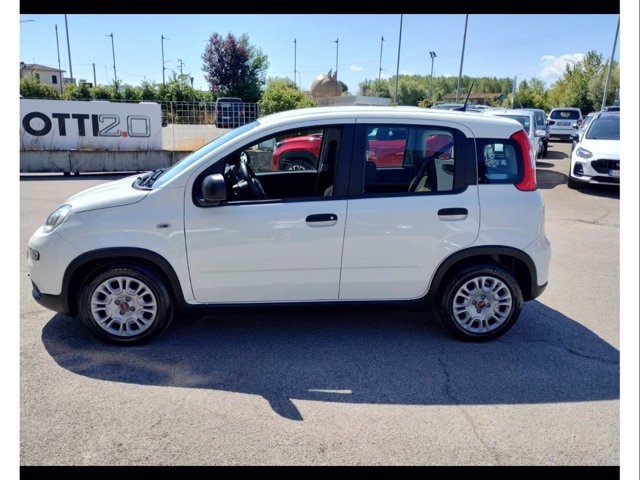 FIAT Panda 1.0 firefly hybrid s&s 70cv
