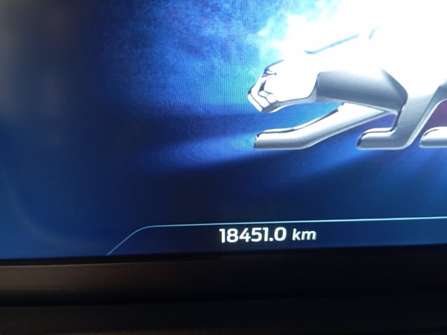 FORD Puma 1.0 ecoboost h st-line x design s&s 125cv