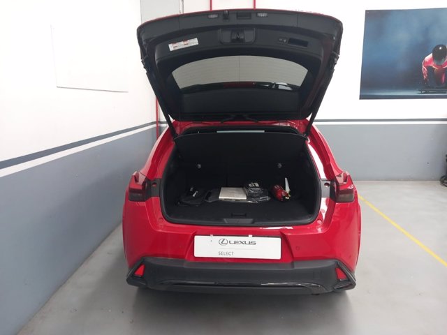 LEXUS UX250H UX300H 4WD F-SPORT MY24