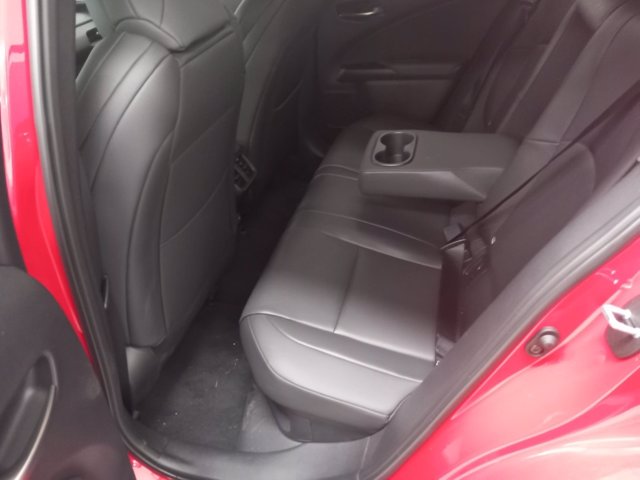 LEXUS UX250H UX300H 4WD F-SPORT MY24