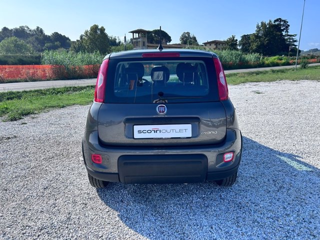 FIAT Panda 1.0 firefly hybrid s&s 70cv 5p.ti