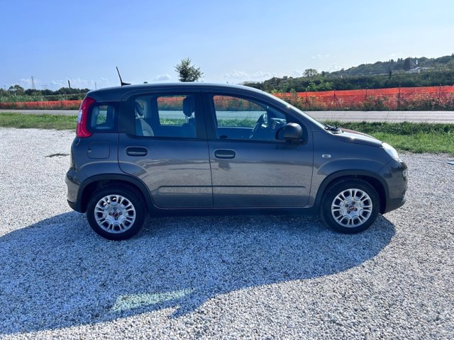 FIAT Panda 1.0 firefly hybrid s&s 70cv 5p.ti