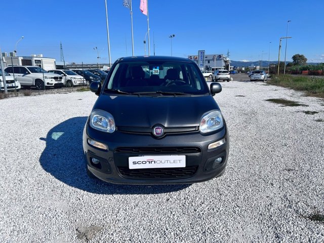FIAT Panda 1.2 pandazzurri 69cv