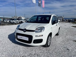 FIAT Panda 1.2 easy s&s 69cv my19