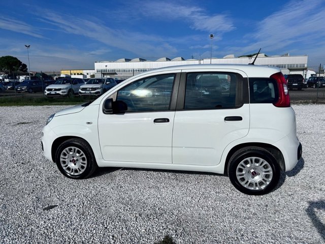 FIAT Panda 1.2 easy s&s 69cv my19