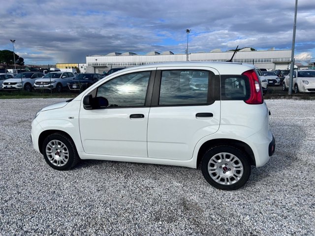 FIAT Panda 1.2 easy s&s 69cv my19