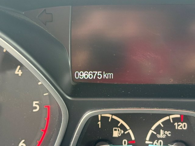 FORD Kuga 1.5 TDCI 120 CV S&S 2WD Powershift ST-Line