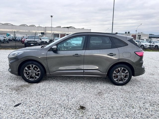 FORD Kuga 1.5 ecoblue st-line 2wd 120cv