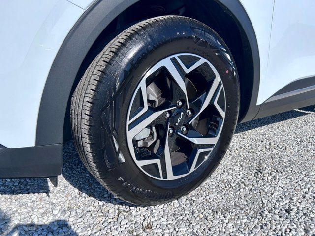 KIA Sportage 1.6 crdi mhev business dct