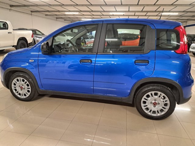 FIAT Panda 1.0 firefly hybrid s&s 70cv