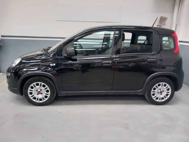 FIAT Panda 1.0 firefly hybrid s&s 70cv