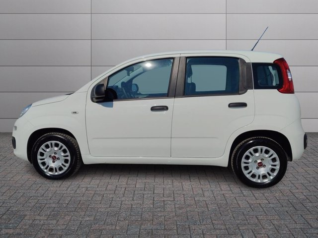 FIAT Panda 1.2 easy s&s 69cv my19