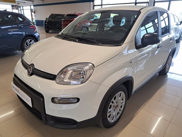 FIAT Panda 1.0 firefly hybrid s&s 70cv