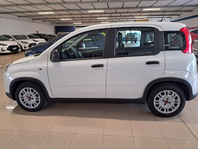 FIAT Panda 1.0 firefly hybrid s&s 70cv