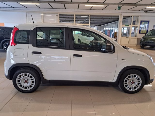 FIAT Panda 1.0 firefly hybrid s&s 70cv