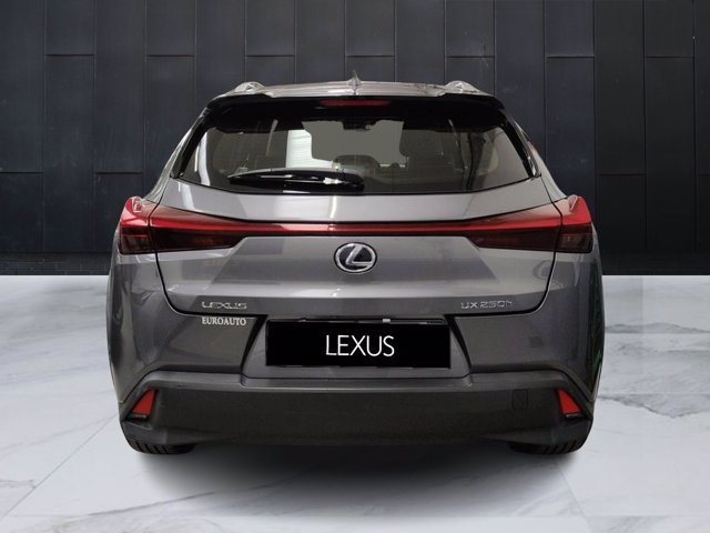 LEXUS UX Hybrid Executive