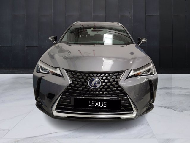 LEXUS UX Hybrid Executive