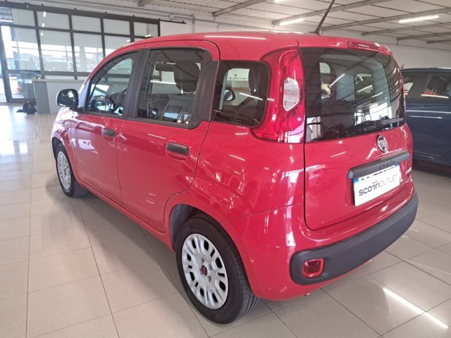 FIAT Panda 1.0 firefly hybrid s&s 70cv