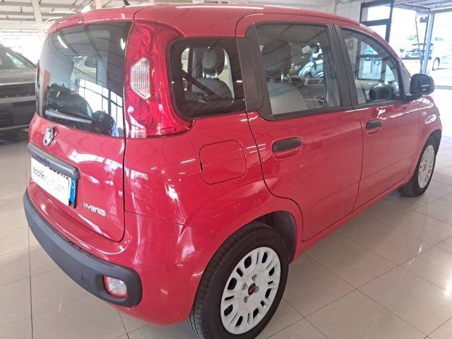 FIAT Panda 1.0 firefly hybrid s&s 70cv