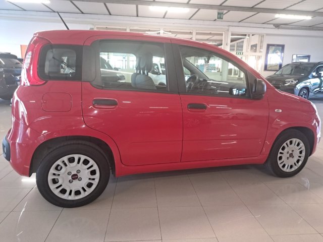 FIAT Panda 1.0 firefly hybrid s&s 70cv