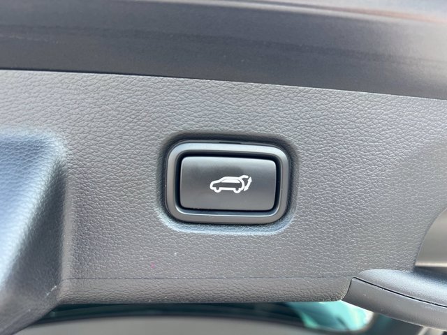 KIA SPORTAGE MY25 1.6 PHEV AWD GTL SR SPT