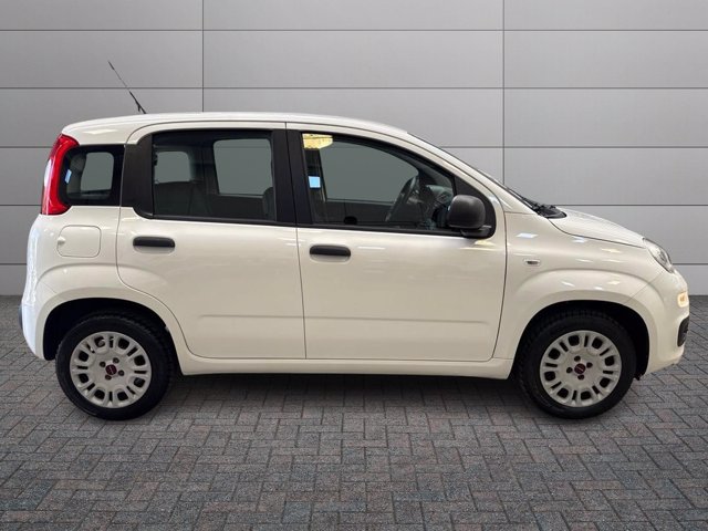 FIAT Panda 1.2 pop s&s 69cv my19