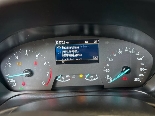 FORD Fiesta 1.0 Ecoboost Hybrid 125 CV 5 porte ST-Line