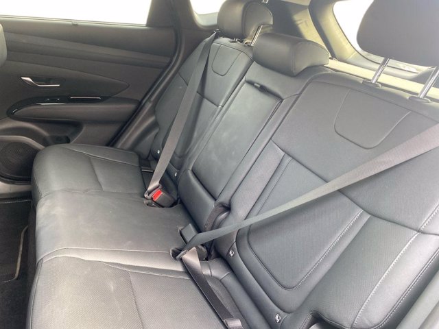 HYUNDAI TUCSON PE 1.6PHEV AT 2WD EX+LP+PP+(C)