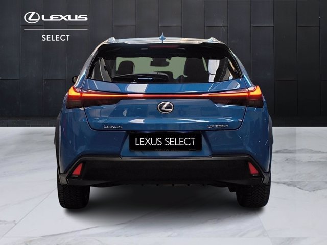 LEXUS Ux 250h 2.0 luxury 4wd cvt my20