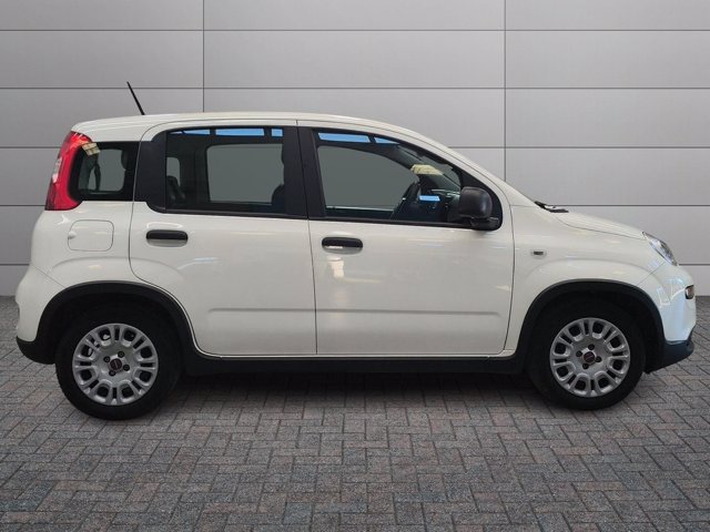 FIAT Panda 1.0 firefly hybrid s&s 70cv 5p.ti