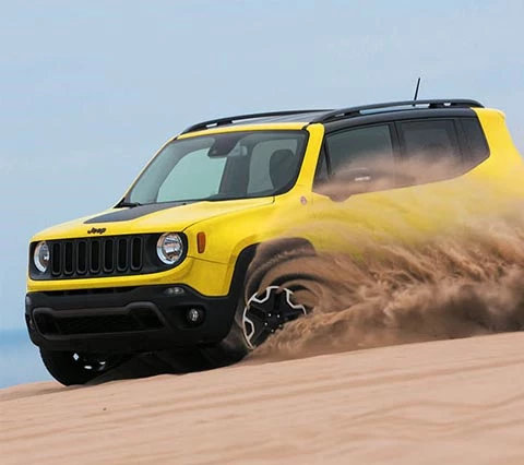 RENEGADE