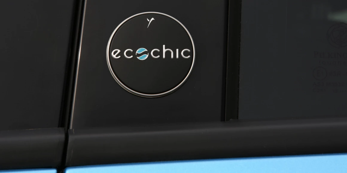 Ypsilon Ecochic 04