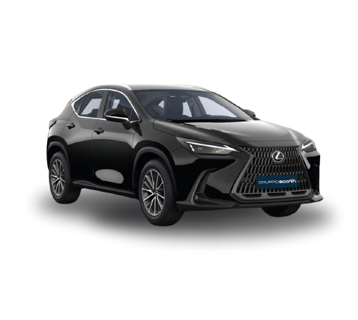 GS Promo Lexus NX Hybrid 480X426